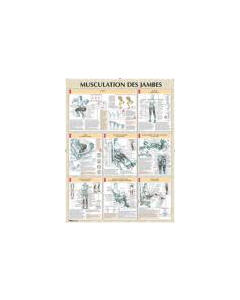 Poster : Musculation des jambes